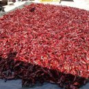 옥전농장 이미지