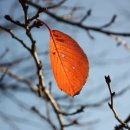 은방울공원 이미지