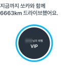 6663 | [쏘카] 🚗 쏘카 반성해라! 쏘카 6,663km 탄 자차 없는 30대 여자 솔직 후기 😤