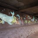 도림천 산책로5 이미지