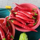 노다지농장 이미지