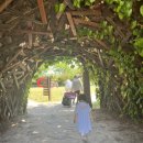 거북이 뿔났다 | 당진 예산 낙농목장체험 아이와 가볼만한곳 경치좋은곳 아그로랜드 태신목장