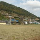 백관기농장 이미지