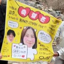 마메드러 이미지