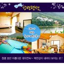 E펜션 Daum카페