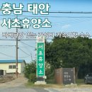 동경０시할인마트 | 태안 가족여행, 바베큐장이 있는 가성비 숙소 태안 서초휴양소