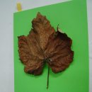 경기창작센터 이미지