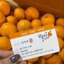 한라봉 잇수다 이미지