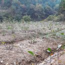 미소농장 이미지