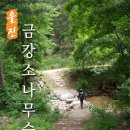 비엔나모텔 이미지