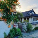 봄날처럼 민박 이미지