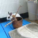 통도동물병원 이미지