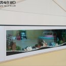 물속풍경수족관 이미지