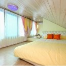 아모르 루시 이미지