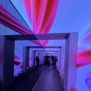 금성전자 | 🚀 [경동시장 핫플] LG전자 x 한예종의 감성 콜라보! 금성전파사 '공감지능 AI' 전시 후기