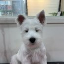 두루몽실 이미지