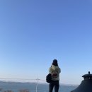 장인이잡고사위가팔고 이미지
