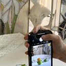 한나약국 이미지