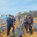 고창군농업기술센터 이미지