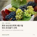 사전11-5 안길 | 화성 송산포도축제 9월 5일, 장소·포도밟기 신청