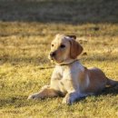 우람동물병원 이미지