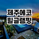 제주에코힐글램핑에서의 특별한 하루🌲