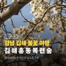 김해농업협동조합 | 경남 김해 가볼만한곳 김해목련숲 실시간 개화현황 주차장 방문후기