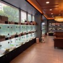 도그마루 강아지 고양이 울산점 이미지