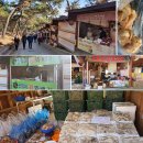 산막이옛길 관광안내소 이미지