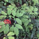 종보농장 이미지