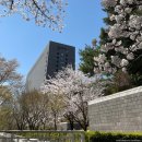 법률사무소하성 - 남양주시 다산중앙로82번안길 156 | 서초동 런치의 여왕, 장원김밥, 신숙 칼국수, 서울고등법원 구내식당, 만복국수집 해물파전세트 콩국수...