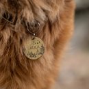 오션동물메디컬센터 이미지