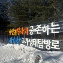 강원도 눈꽃산행 추천, 태기산 등산 후기 초보자도 쉽게 가능한