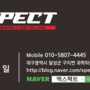 엑스펙트