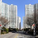 안락상가시장 이미지