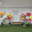 새움초등학교 이미지