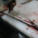 흑산장어