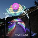 보성익스프레스 이미지