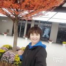 한마음콘도 이미지