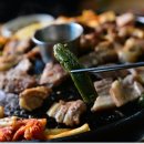 올레도야지