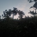 철이농장 이미지