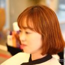 컬리수헤어 네이버블로그