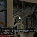 마음모음