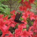 청산주유소 이미지