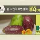 쾌변라이프