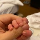 트리니티산후조리원 강동송파점 이미지