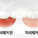 미시건치과 이미지