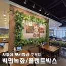 식당 실내조화조경, 플랜트박스 및 인조 벽면녹화! 사월에 보리밥과 쭈꾸미 인테리어