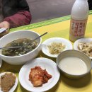 춘심이네 식당 티스토리