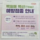 전주 보건소 임산부 배우자 무료 백일해 예방접종 후기, 병원별 가격 비교